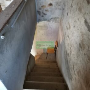 Rustico in 300 mq di terreno con 180 olivi