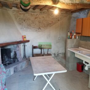 Rustico in 300 mq di terreno con 180 olivi