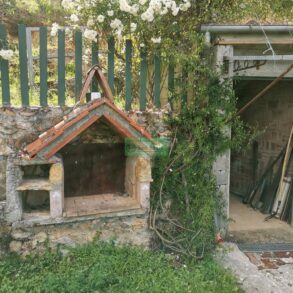 Rustico in 300 mq di terreno con 180 olivi