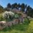 Rustico in 300 mq di terreno con 180 olivi