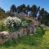 Rustico in 300 mq di terreno con 180 olivi
