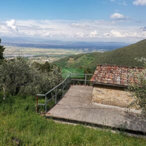 Rustico in 300 mq di terreno con 180 olivi