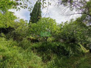 IMG_20200605_103014