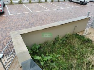 IMG_20201029_094430