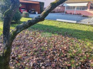 IMG_20220112_093617