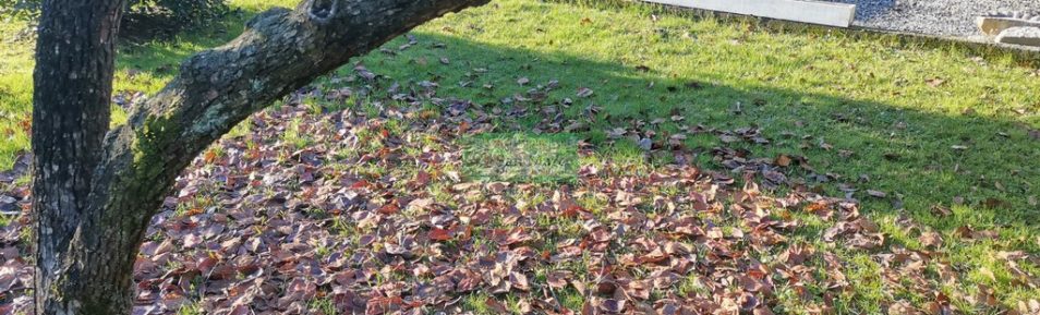 Villetta con giardino e garage di 40 mq