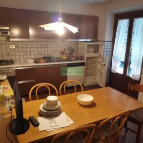 Grande villa con 2 appartamenti e terreno