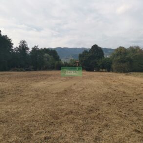 Grande rustico con giardino di 1 ettaro