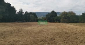 Grande rustico con giardino di 1 ettaro