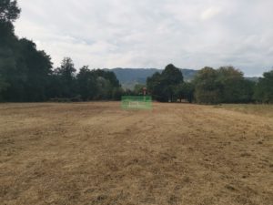 IMG_20210907_170846