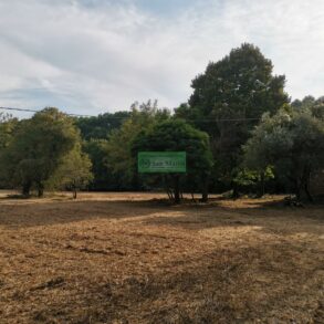 Grande rustico con giardino di 1 ettaro