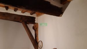 IMG-20210325-WA0002