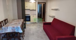 Appartamento con 2 camere e garage