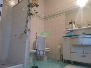 IMG_20220905_151237