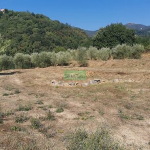 Porzione di colonica con 2.900 mq di terreno