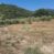 Porzione di colonica con 2.900 mq di terreno